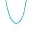 Sidekick Beaded Necklace - Turquoise